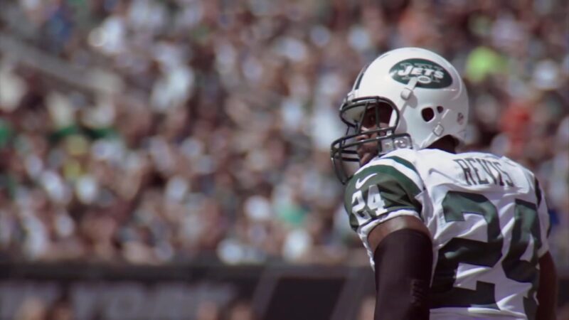 Darrelle Revis Career