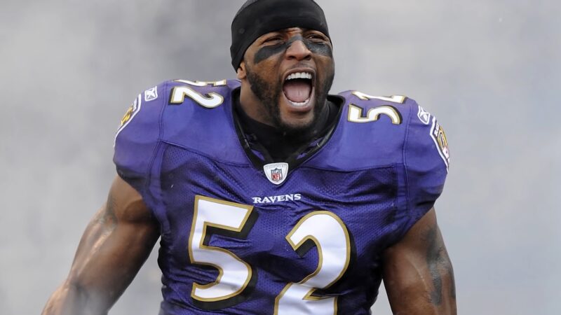 Ray Lewis NFL Career